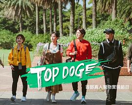 麻豆tv官网《TOP DOG》免费在线观看