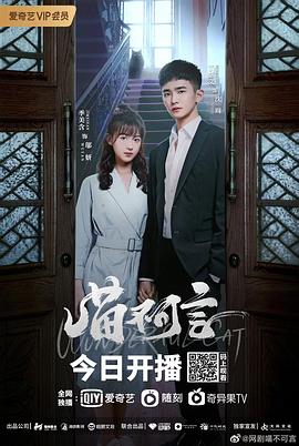 麻豆TV网站《喵不可言》免费在线观看