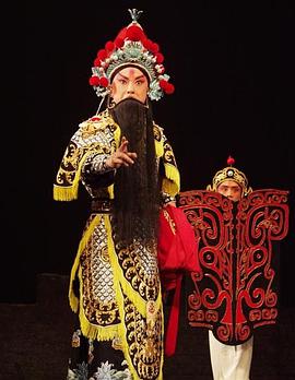 麻豆TV网站《袁崇焕2009》免费在线观看